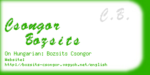 csongor bozsits business card